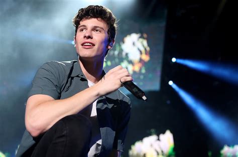Shawn Mendes Fala De Boatos Sobre Ser Gay Guia Gay Salvador