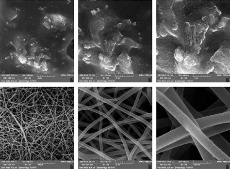 Figure 2 From Pva Based Nanofibers Containing Chitosan Modified With