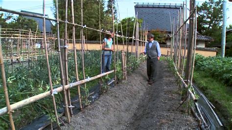 Home Gardening In Japan YouTube