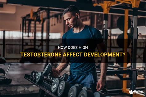 How Does High Testosterone Affect Development Medshun