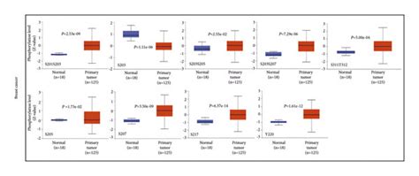 Protein Phosphorylation Analysis Of Tle In Different Tumors The