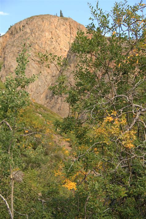 Hiking To The Historic Vault Silver Mine The Explorenorth Blog