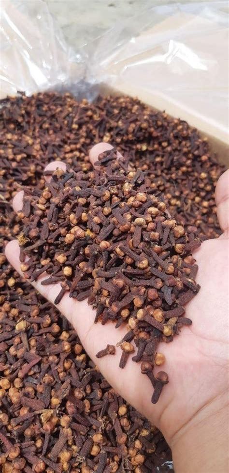 Brown Whole Dry Cloves Packaging Size Kg At Rs Kilogram In