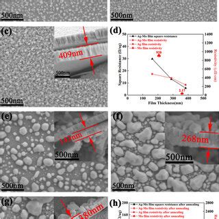 A C Surface Morphology And Cross Sectional Morphology Of The