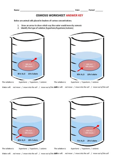 Osmosis Worksheet And Types Of Solutions Answer Key Pdf