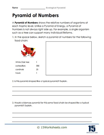 Ecological Pyramid Worksheets Worksheets