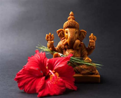 Get Blessings Of These 10 Hindu Gods By Offering The Right Flower As