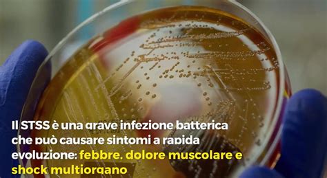 Infezione Batterica Mortale Raggiunge Livelli Record I Dati Sulla