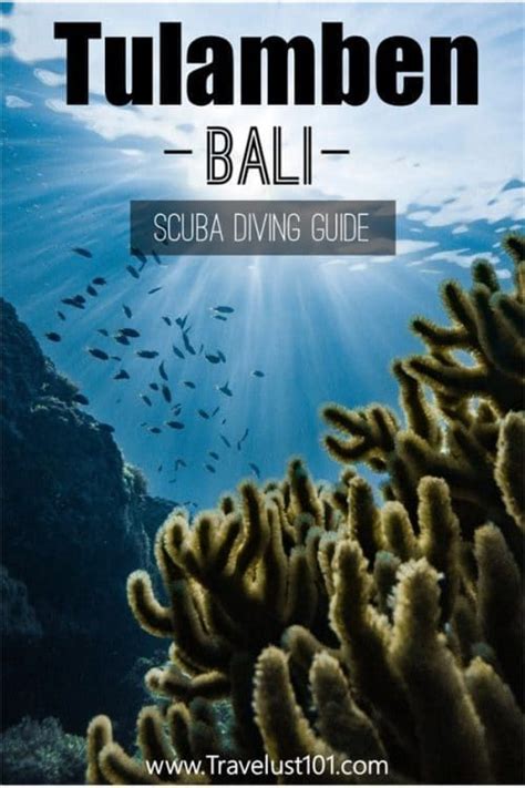 Tulamben Diving How To Create The Most Exciting Scuba Trip Of A