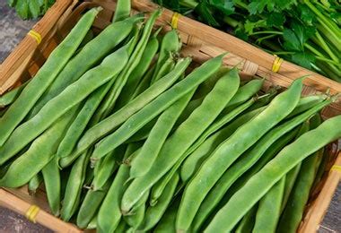 C Mo Cocinar Con Habichuelas Recetas Nestl