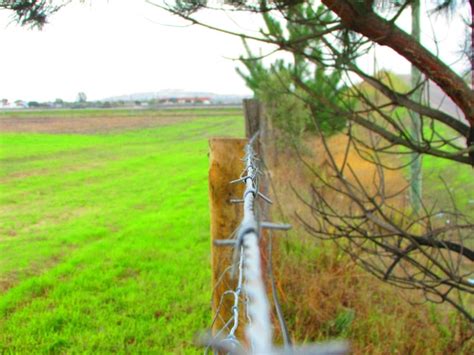 Premium Photo Close Up Of Barbed Wire Fence On Field