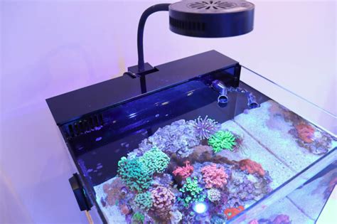 Reef Casa Filtration Covers Frag Box Corals