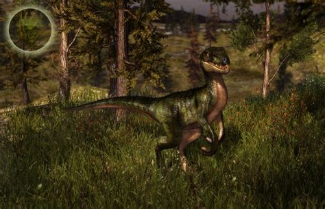 Updated: Raptor – Assets Reporter