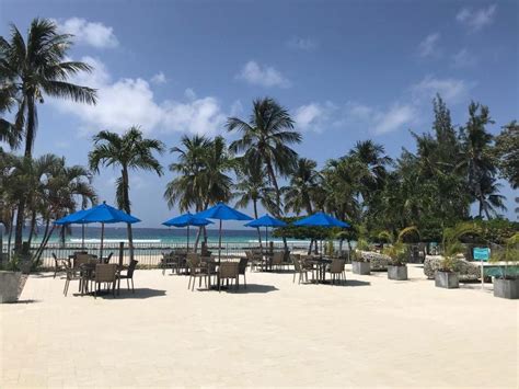 Coconut Court Beach Hotel Review Bridgetown Barbados Travel