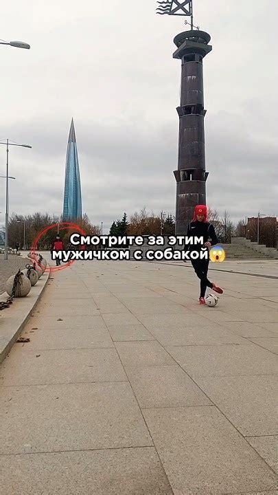 СЕКТОР ПРИЗ на БАРАБАНЕ ️🥹 #youtube #спб #рекомендации #полечудес # ...
