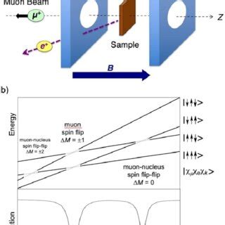 a A schematic of μLCR experimental geometry b Top panel Energy