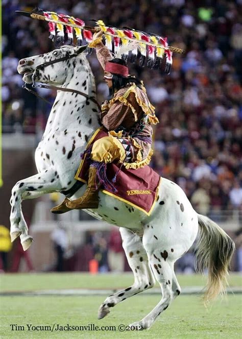 Chief Osceola On Renegade Chief Getting Ready To Throw The Spear To Start The Game Florida