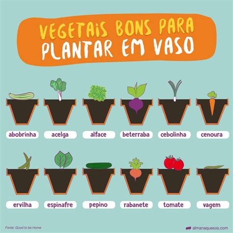 Horta Em Casa Para Cultivar Ervas E Temperos Artofit