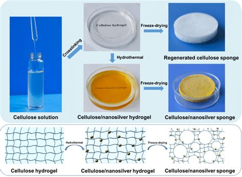 Photographs Of Cellulose Solution To The Construction Of Regenerated