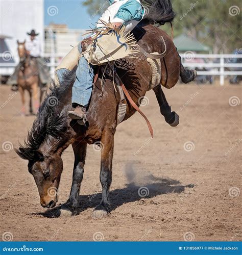 Bareback Bucking Bronc Riding At Country Rodeo Editorial Photography