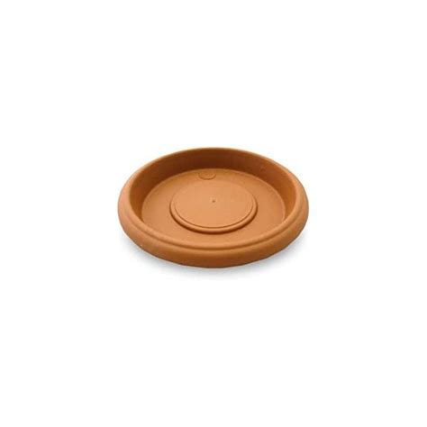 Flower Pot Saucer 145mm Terracotta Pots From Leafy Tiger Uk