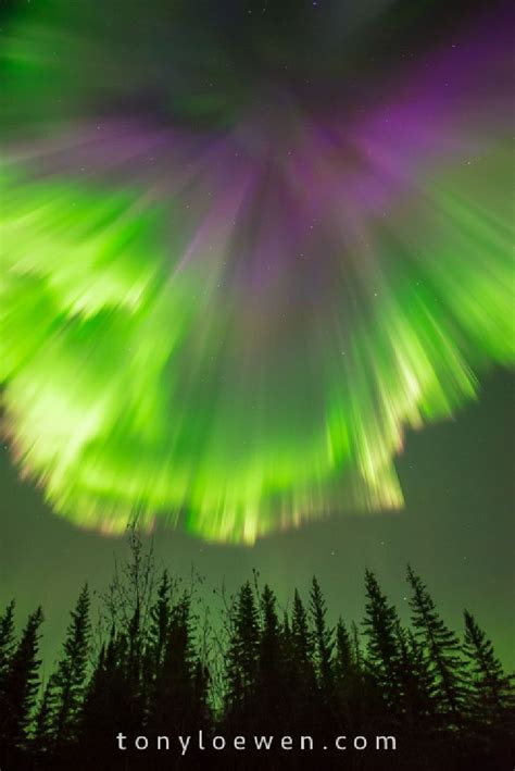 Aurora Gillam Manitoba Canada With Images Northern Lights