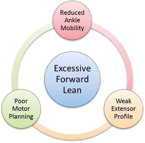 Causes Of The Excessive Forward Lean Seen During The Back Squat