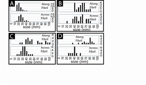 Histograms Of Particle Dimensions For The Corresponding Images Of