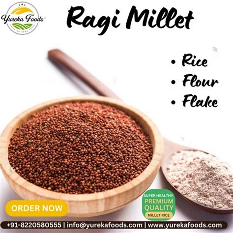 Ragi Flour Wholesale Price And Mandi Rate For Finger Millet Peeth In India