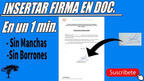 Como Insertar Firma Digital En Word Youtube