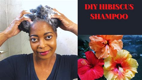 How To Make Hibiscus Shampoogrow Hair Faster And Thicker In 2022 Grow Hair Faster Grow