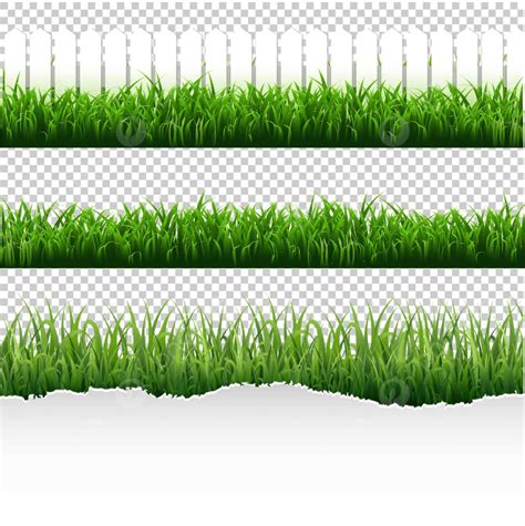 Grass Border Big Set Grass Objects Isolated Vector Grass Objects Isolated Png And Vector With