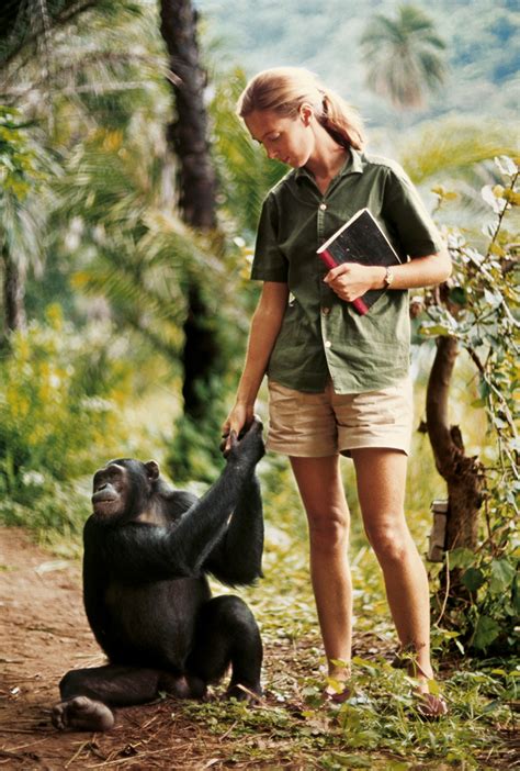 The Jane Goodall Institute New Zealand