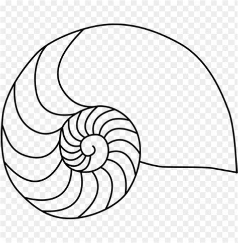 Fibonacci Sequence Coloring Pages Boringpop 8084 The Best Porn Website