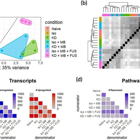 Rna Sequencing Overview A Principal Components Analysis Of Rna‐seq