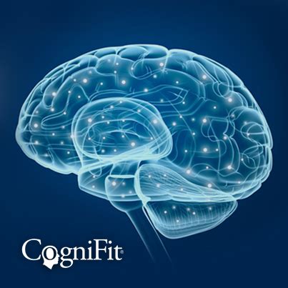 Brain and Neuroplasticity, Neurogenesis, and Cognition exercises with CogniFit