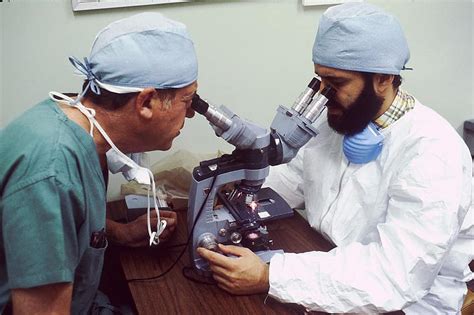 microbiologist, scientist, pathologist, laboratory, searcher ...