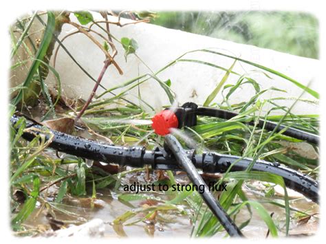 Muciakie Adjustable Diy Micro Drip Irrigation System For Selfwatering