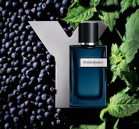 DISCOVER THE LEGENDARY LONG-LASTING Y SCENTS BY YSL BEAUTY.