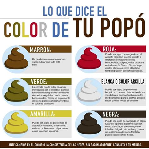 Lo Que Dice El Color De Tu Popo Jorge C Rdova Udocz