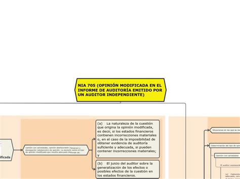 Nia Opini N Modificada En El Informe Mind Map