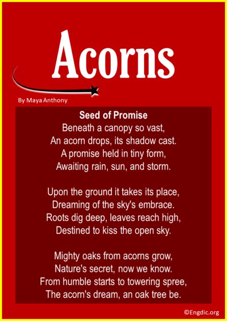 Best Short Poems About Acorns Oak Trees Engdic