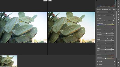 Adobe Camera Raw What It Does And Why You Need To Use It Flipboard