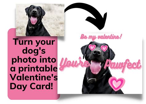 Custom Dog Valentine's Day Card From Photo, Digital Download Printable ...