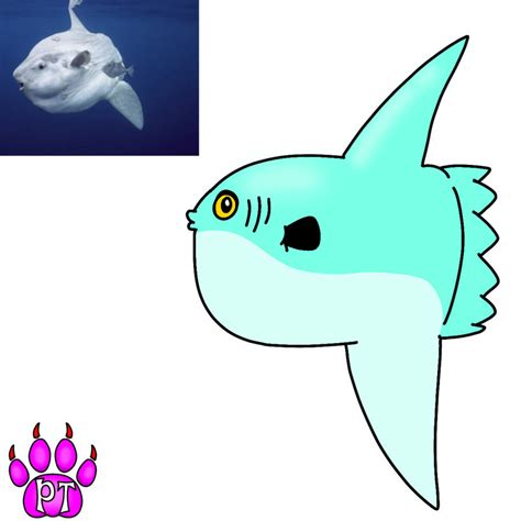 Mola Mola By Ptscreatureverse On Deviantart