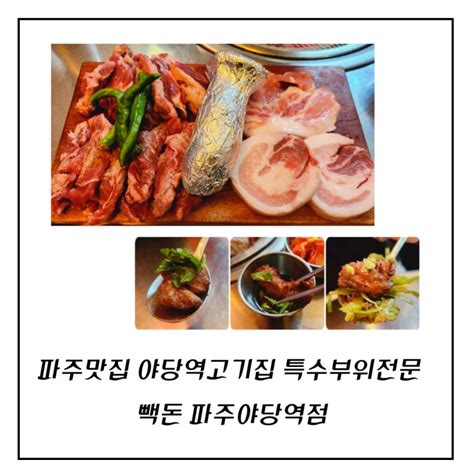 파주맛집 야당역고기집 특수부위 전문 빽돈 파주 야당역점 네이버 블로그