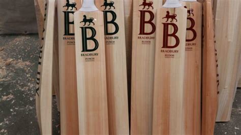 Kudos Performance Cricket Bat Bradbury Cricket