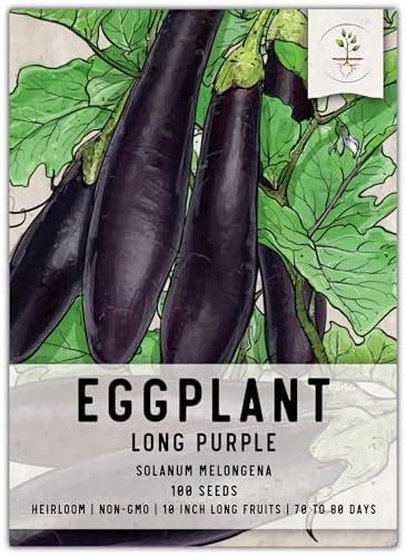 Amazon Long Purple Eggplants Aubergine Seeds Chinese Eggplants