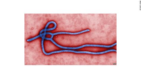 Ebola Outbreak What You Need To Know Cnn