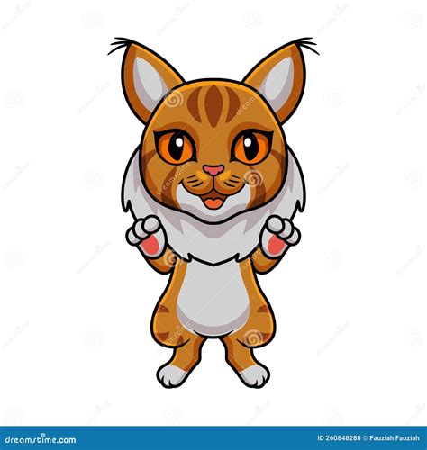 Cute Maine Coon Cat Cartoon Vector Illustration CartoonDealer